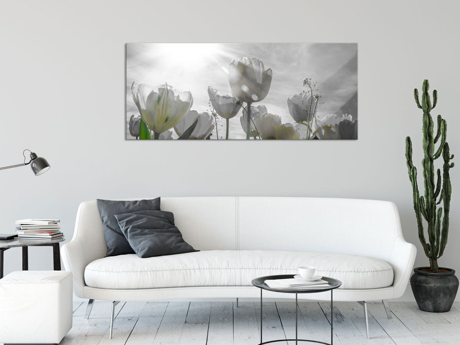 wunderschöne Tulpenwiese, Glasbild Panorama