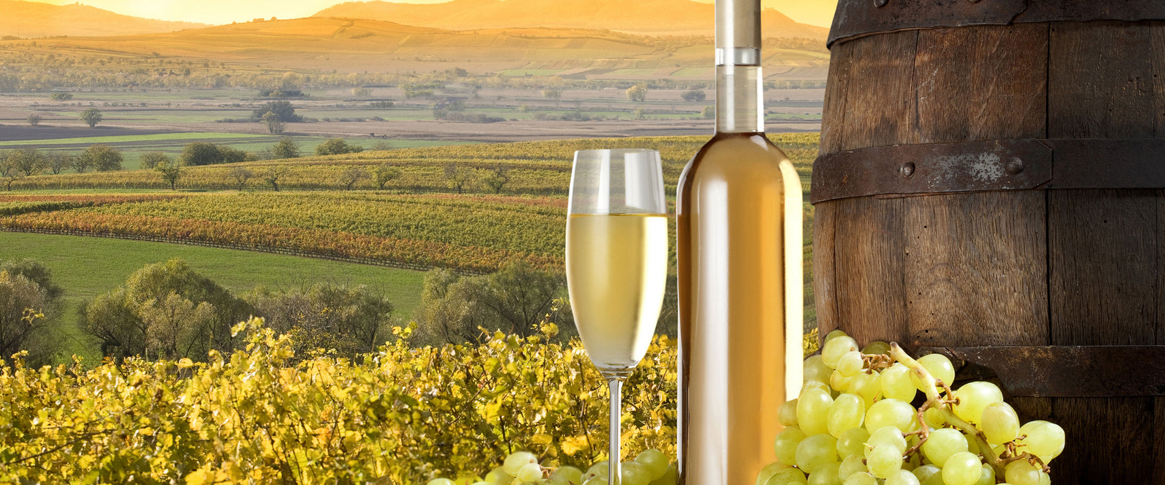 Weinreben mit Weinflasche und Fass, Glasbild Panorama