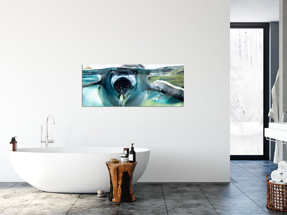 Pinguin im Wasser, Glasbild Panorama