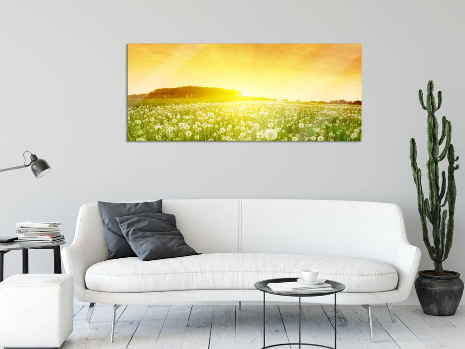 Pusteblumen Sonnenuntergang, Glasbild Panorama