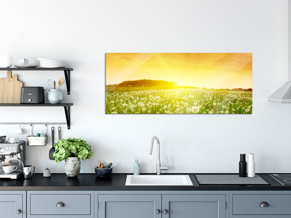 Pusteblumen Sonnenuntergang, Glasbild Panorama