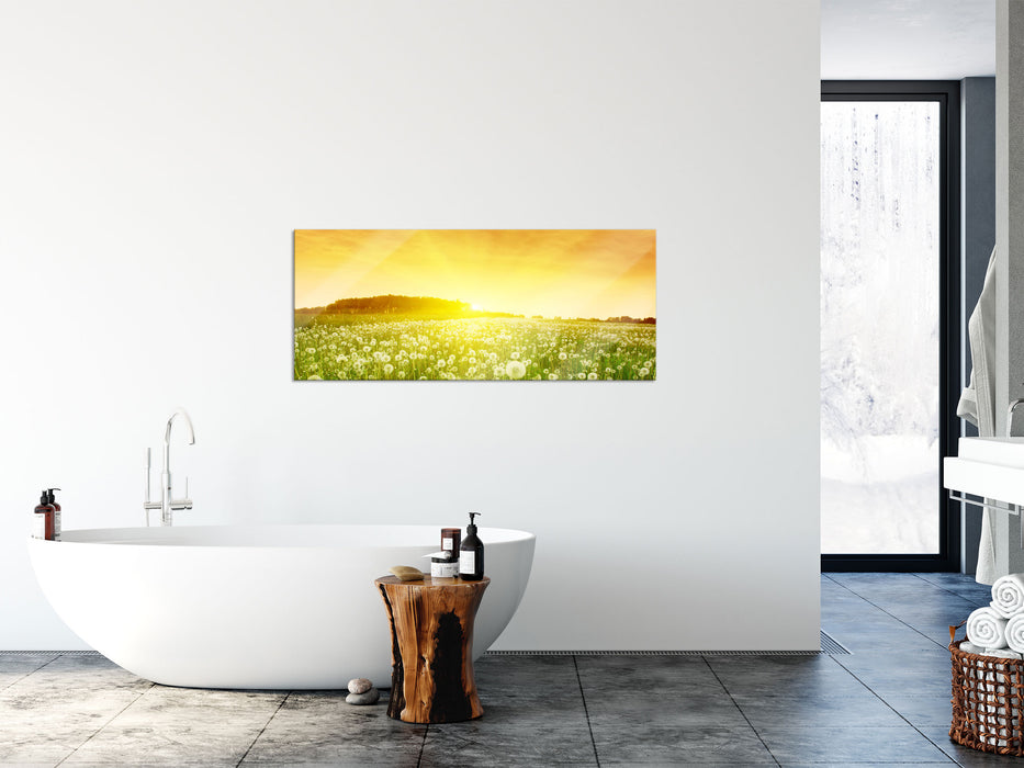 Pusteblumen Sonnenuntergang, Glasbild Panorama