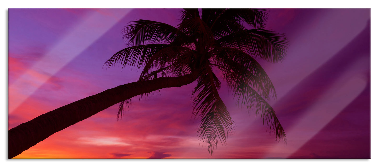 Pixxprint Palme am Meer mit Sonnenuntergang, Glasbild Panorama