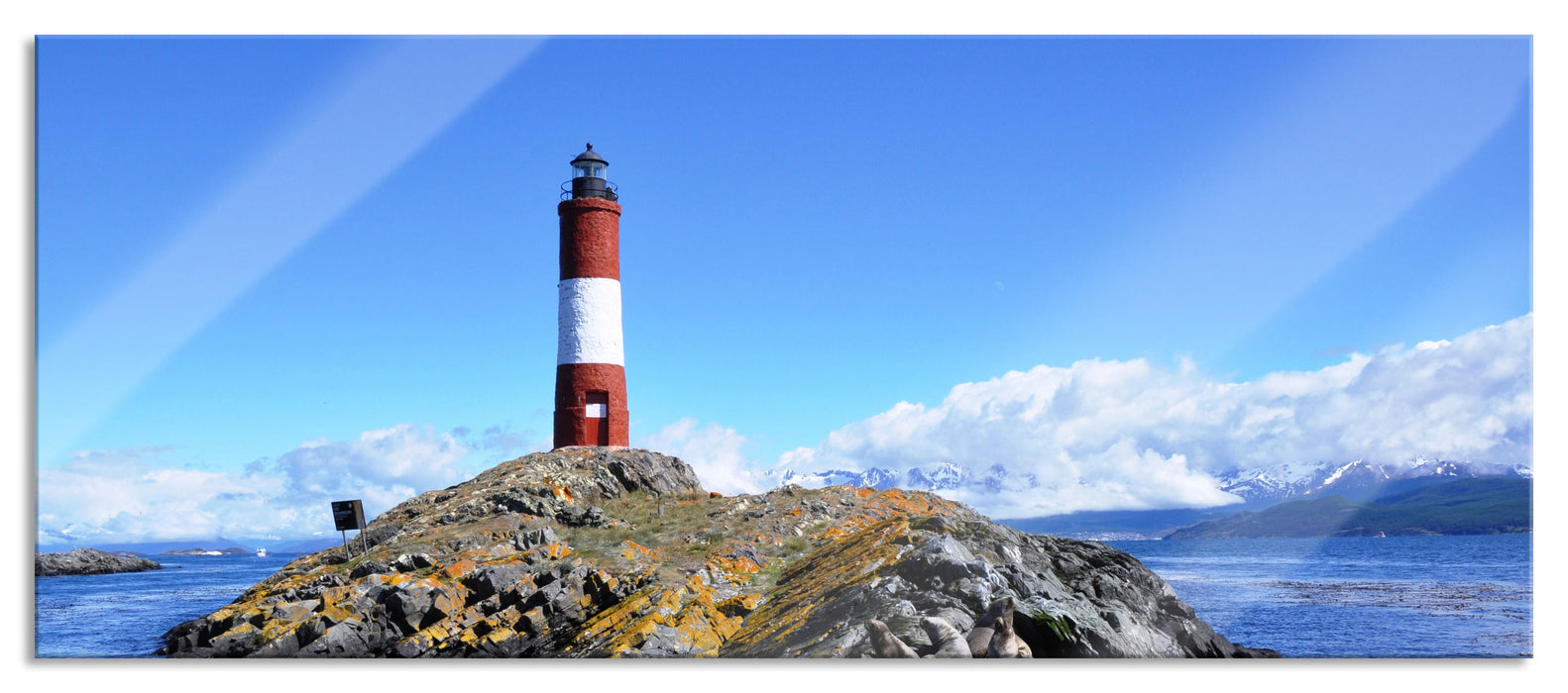 Pixxprint Leuchtturm mit Robben, Glasbild Panorama