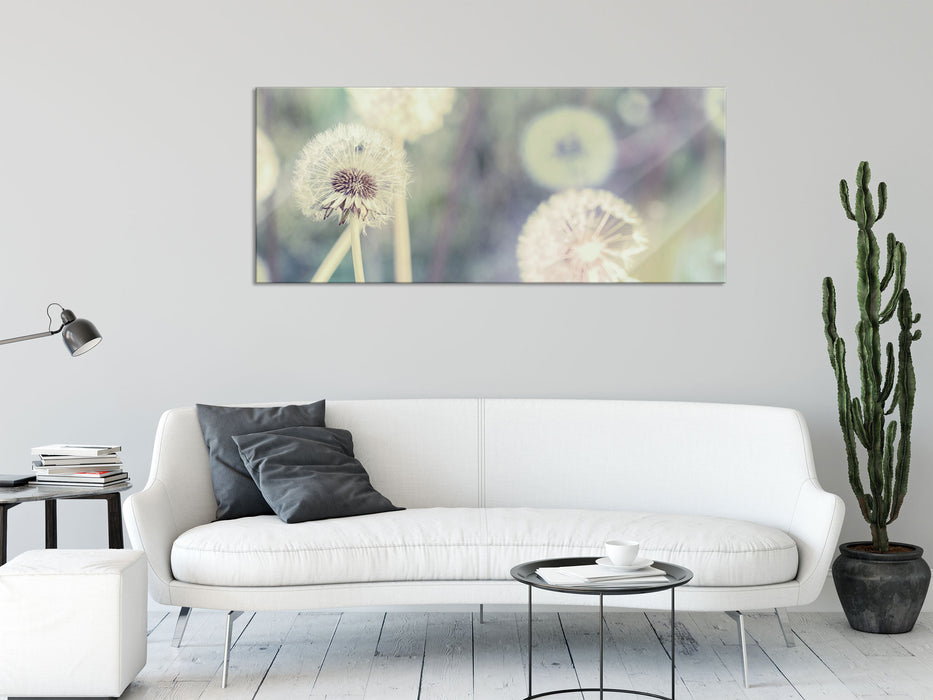 Romantische Pusteblumen, Glasbild Panorama