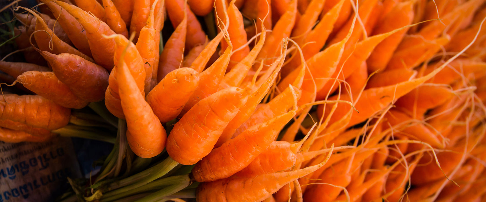 Gesunder Möhrenstrauß, Glasbild Panorama