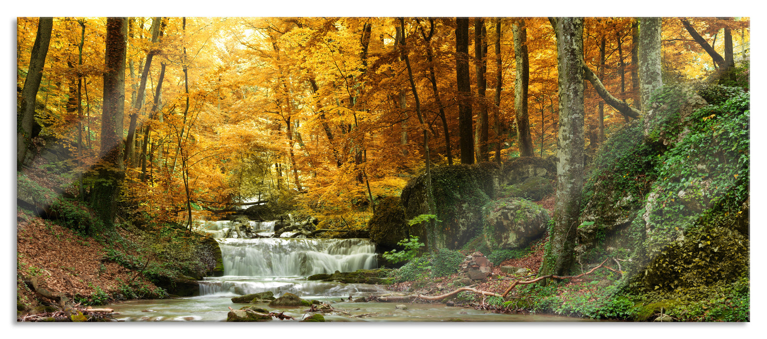 Pixxprint Waldbach im Herbst, Glasbild Panorama