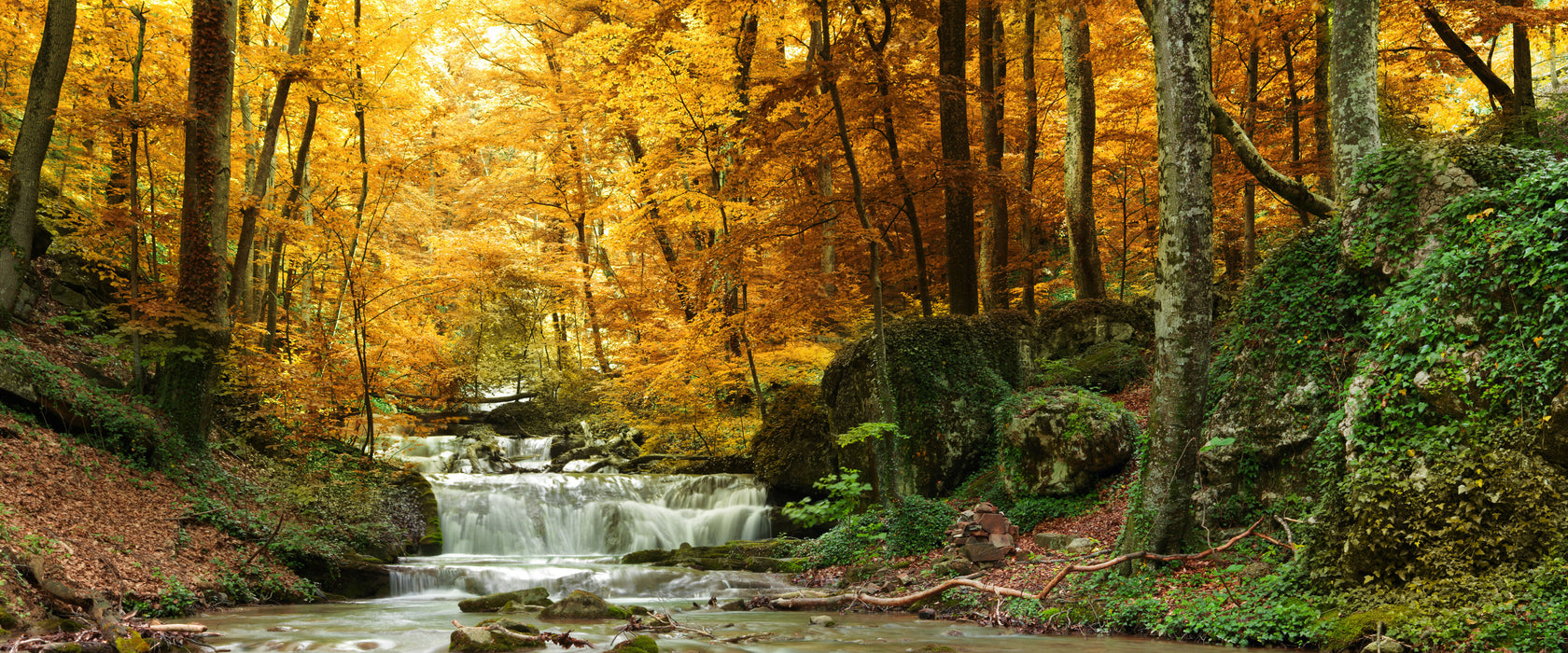 Waldbach im Herbst, Glasbild Panorama