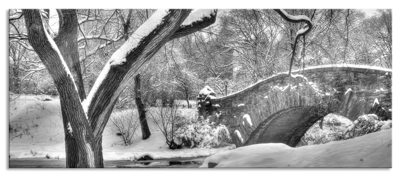 Pixxprint Central Park New York, Glasbild Panorama