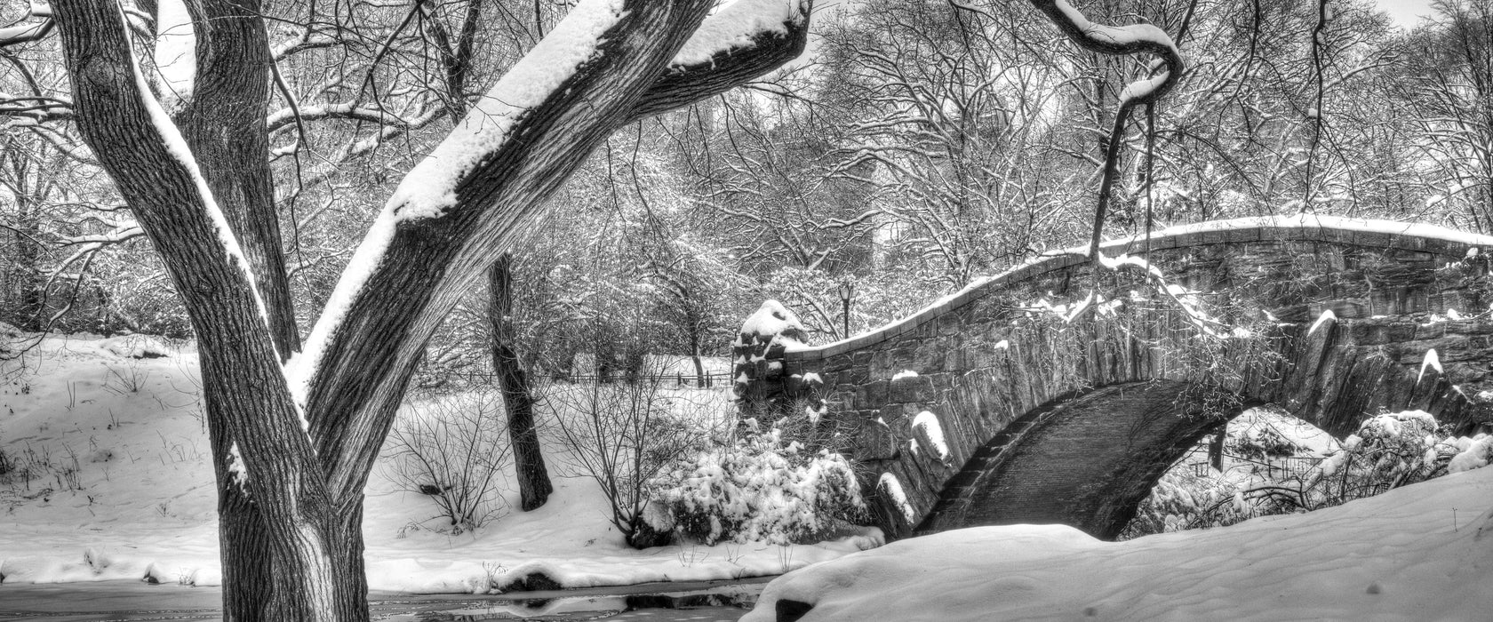 Central Park New York, Glasbild Panorama