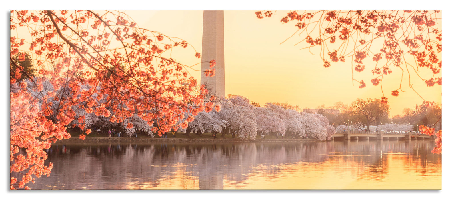 Pixxprint Jefferson Memorial, Glasbild Panorama
