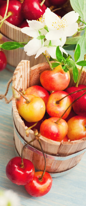 Bucket of cherries, Glasbild Panorama