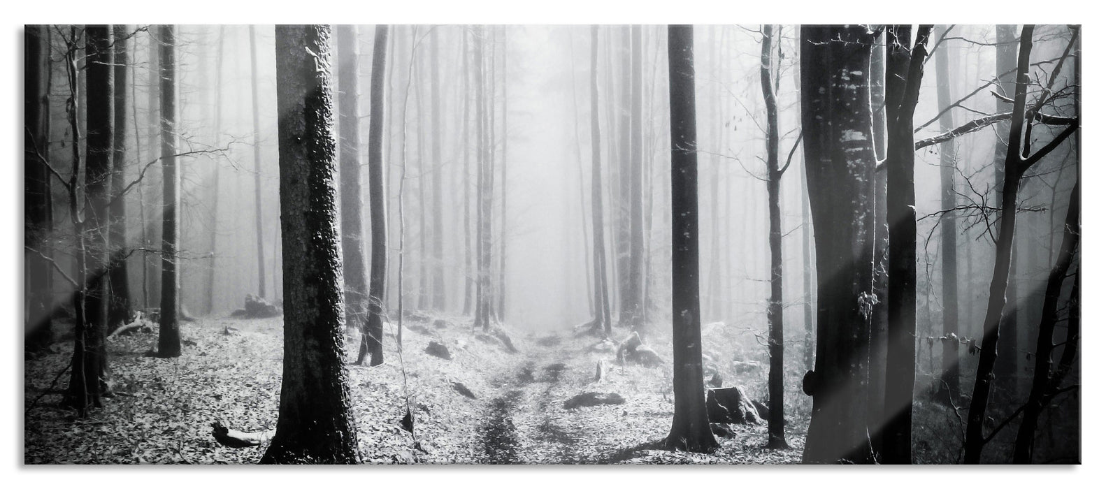 Pixxprint Mystischer Wald, Glasbild Panorama