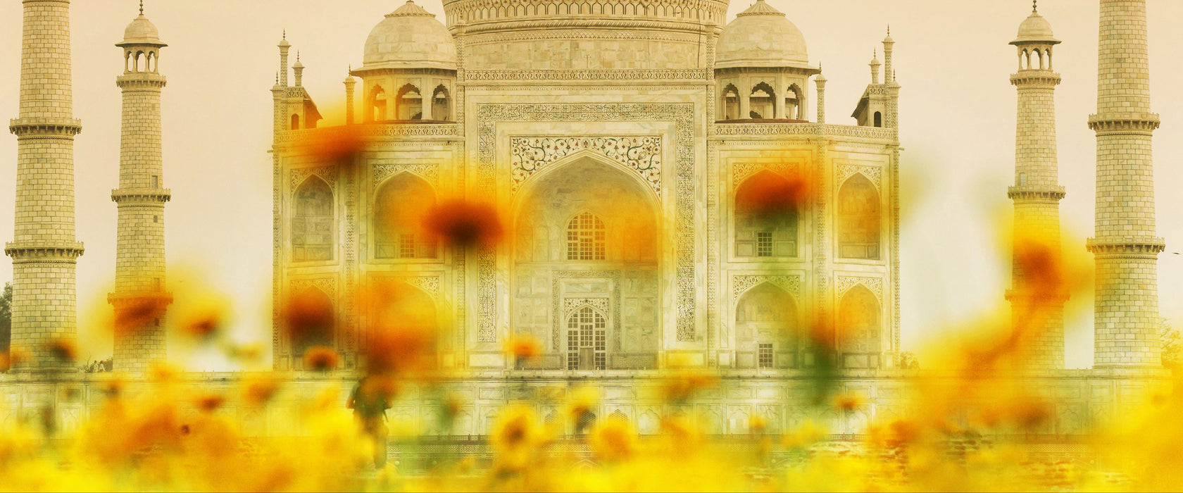 Taj Mahal im Sommer, Glasbild Panorama