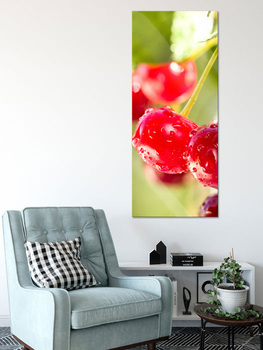 Frische Kirschen am Baum, Glasbild Panorama