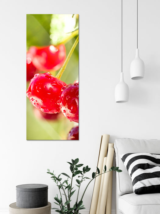 Frische Kirschen am Baum, Glasbild Panorama