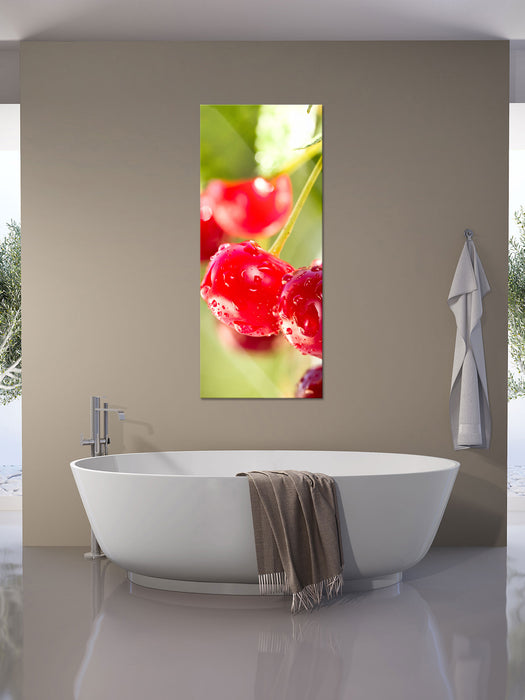 Frische Kirschen am Baum, Glasbild Panorama