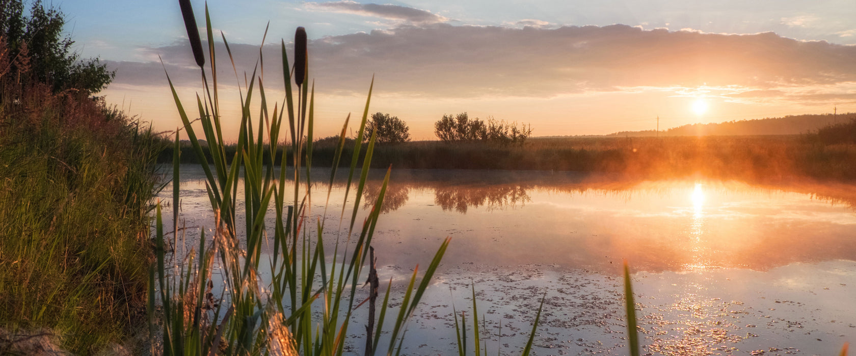 Sonniger Morgen am See, Glasbild Panorama