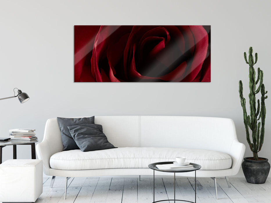 Rote Rose, Glasbild Panorama