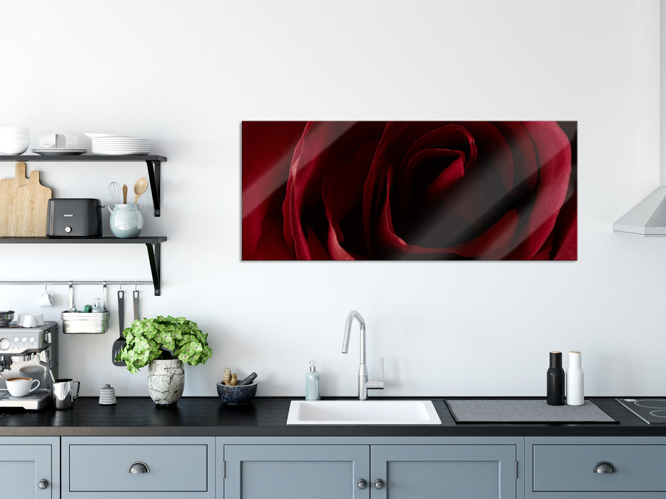 Rote Rose, Glasbild Panorama