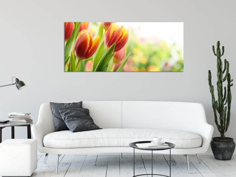 Bunte Tulpenwiese, Glasbild Panorama