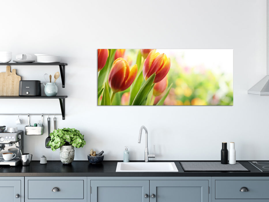 Bunte Tulpenwiese, Glasbild Panorama