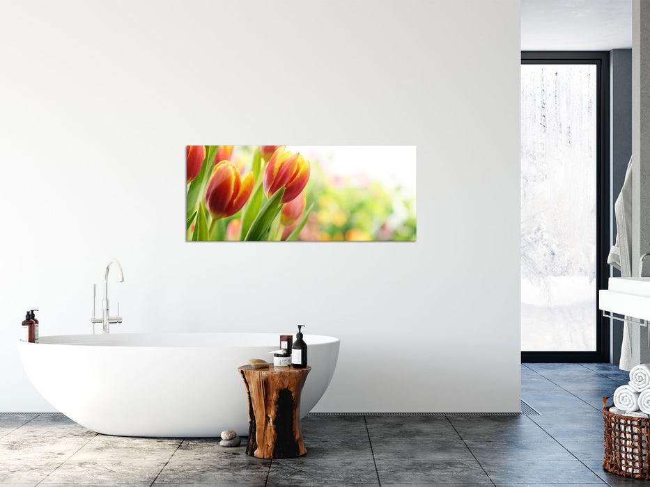 Bunte Tulpenwiese, Glasbild Panorama