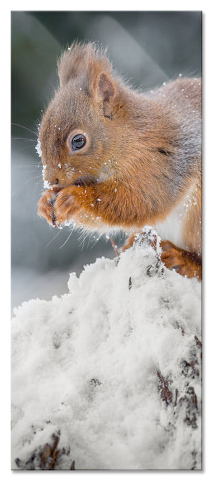 Pixxprint Kleines Eichhörnchen im Winter, Glasbild Panorama