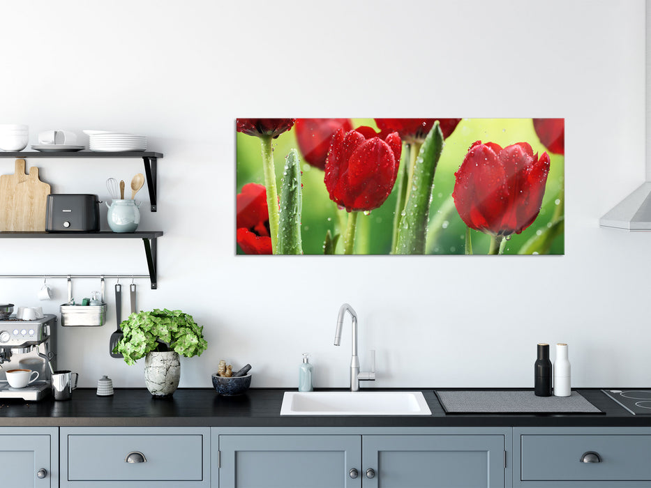 Rote Tulpen mit Tropfen bedeckt, Glasbild Panorama