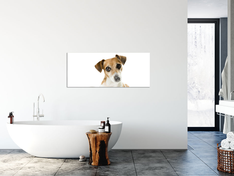 Niedlicher Hundewelpe mit Kamera, Glasbild Panorama