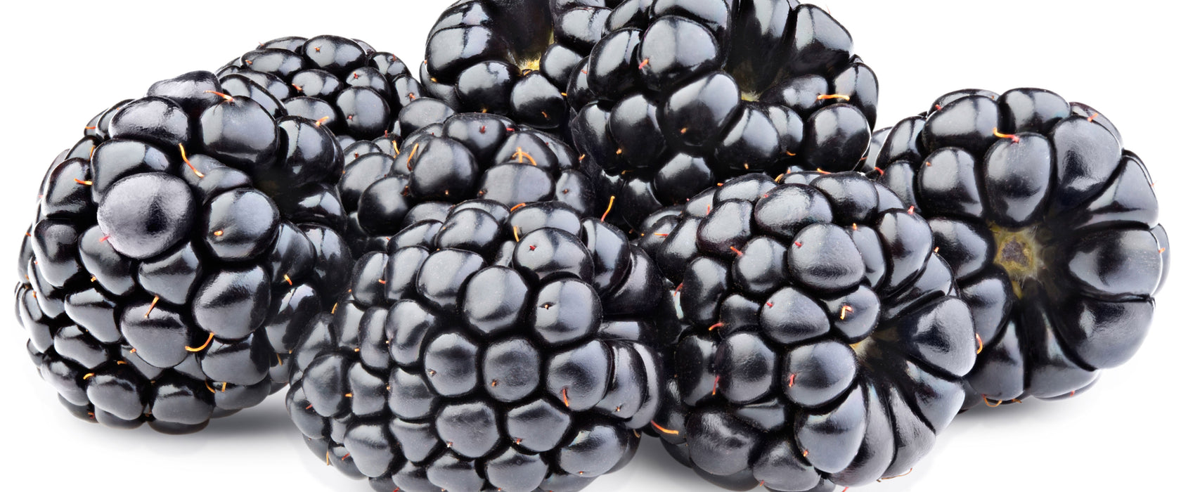 Frische Johannisbeeren, Glasbild Panorama