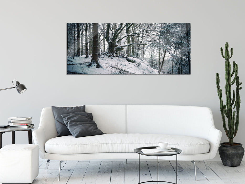 Wald mit Schnee bedeckt, Glasbild Panorama