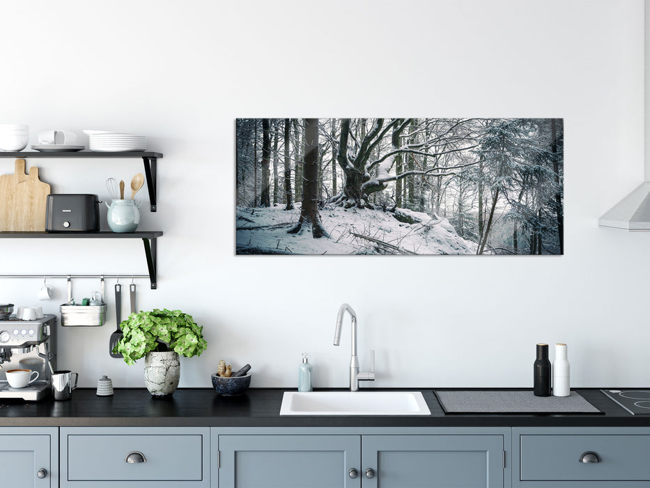 Wald mit Schnee bedeckt, Glasbild Panorama