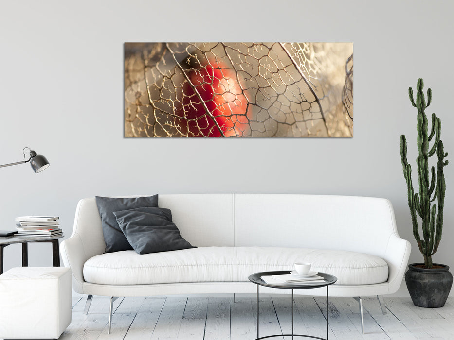 Rote Physalis, Glasbild Panorama