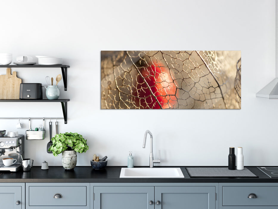 Rote Physalis, Glasbild Panorama