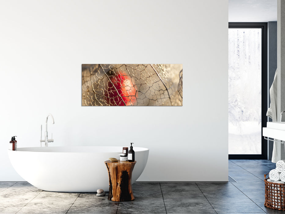 Rote Physalis, Glasbild Panorama