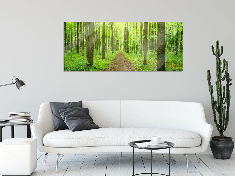 Sonne im Wald, Glasbild Panorama