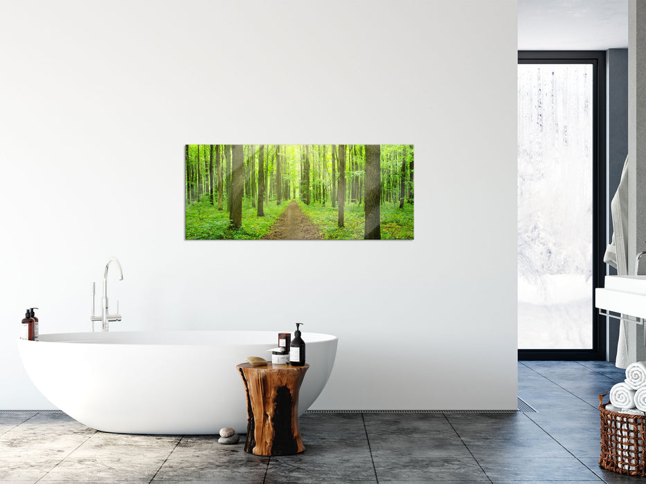 Sonne im Wald, Glasbild Panorama