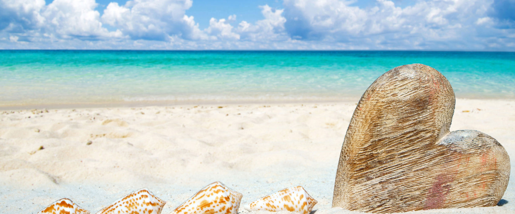 Sandstrand mit Muscheln, Glasbild Panorama