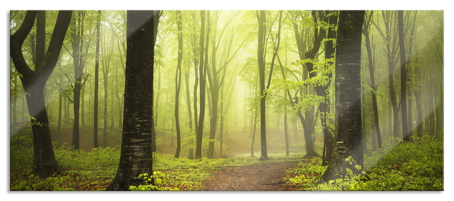 Pixxprint Weg im Wald, Glasbild Panorama