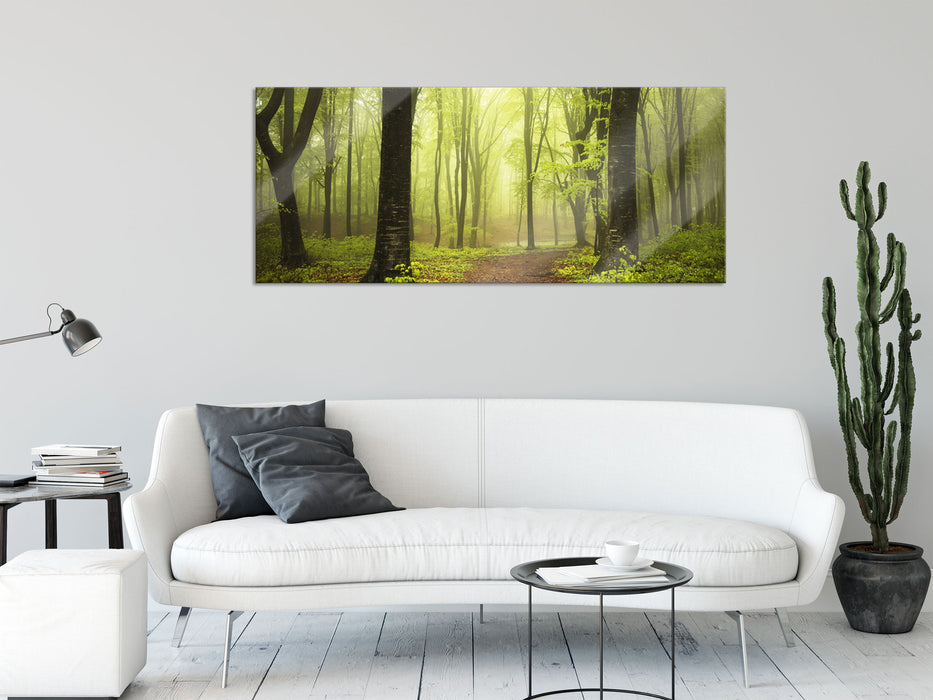 Weg im Wald, Glasbild Panorama