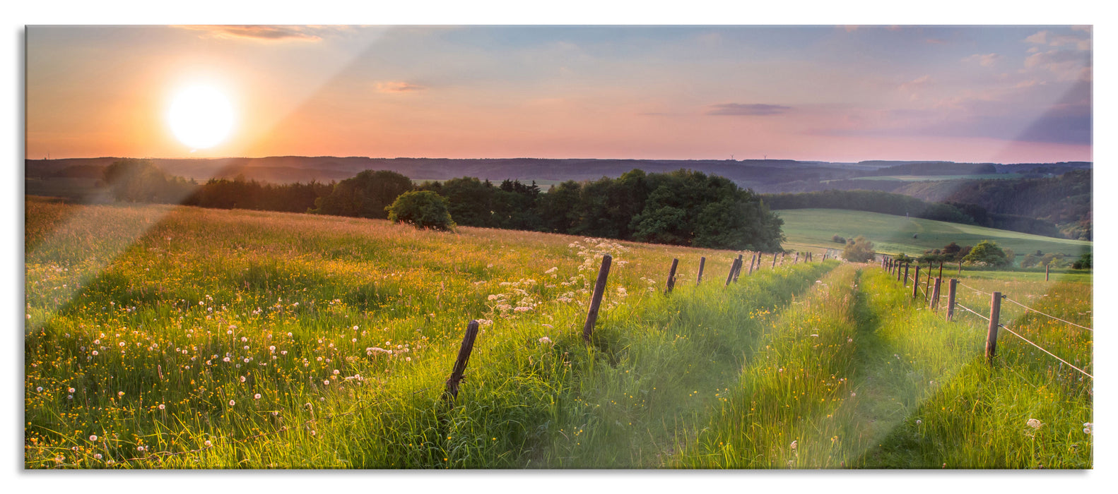 Pixxprint Bergwiese im Sonnenaufgang, Glasbild Panorama