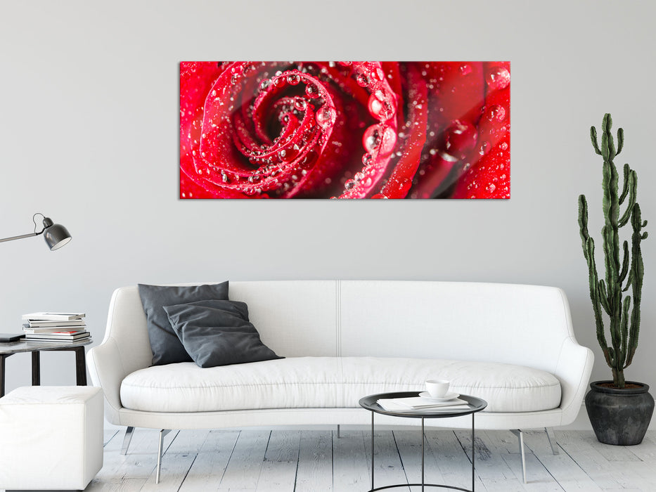 Rose mit Wassertropfen, Glasbild Panorama