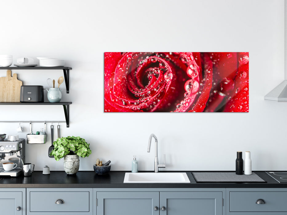 Rose mit Wassertropfen, Glasbild Panorama