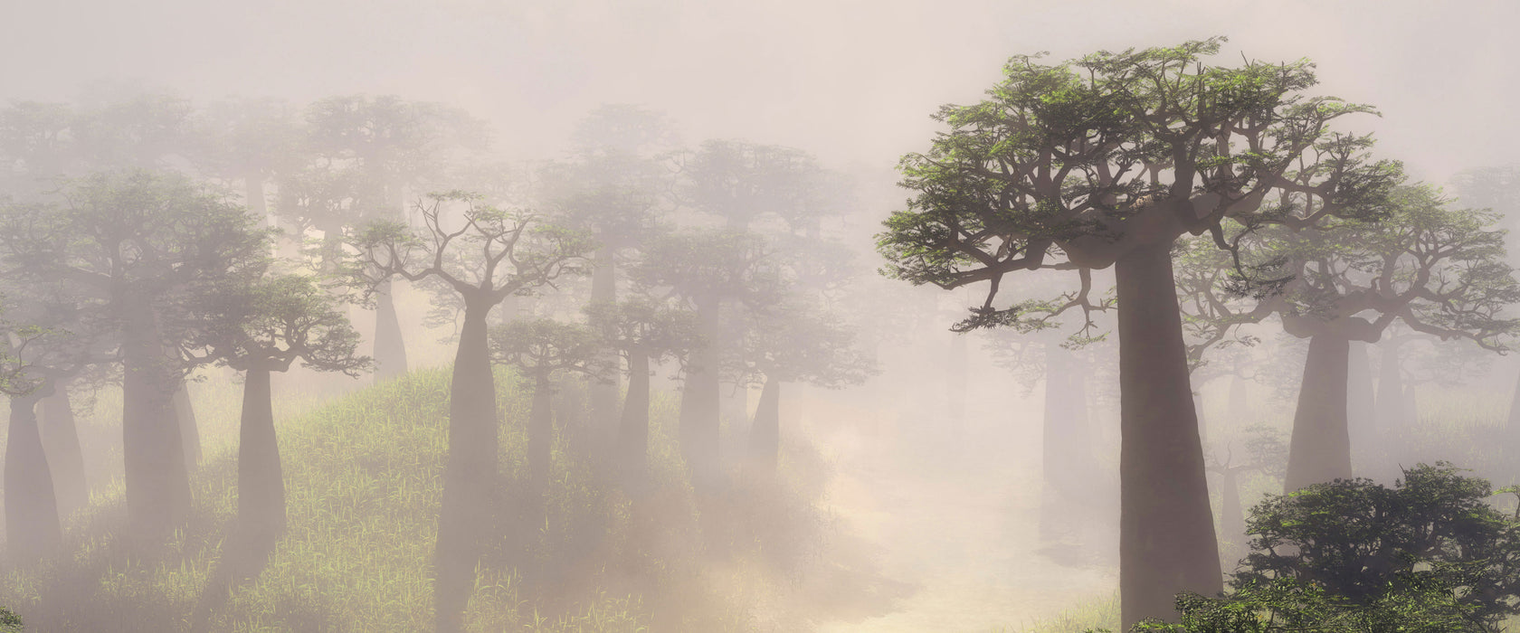 Mysteriöser Wald im Nebel, Glasbild Panorama