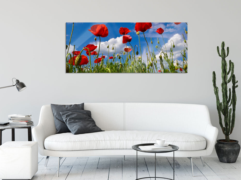 Wiese mit Blumen, Glasbild Panorama