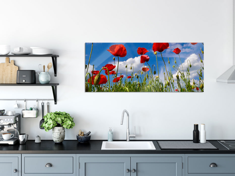 Wiese mit Blumen, Glasbild Panorama