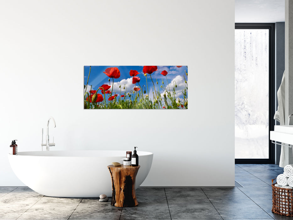 Wiese mit Blumen, Glasbild Panorama