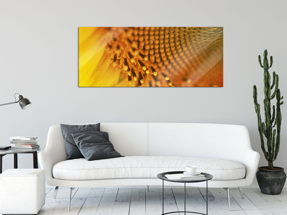 Wunderschöne gelbe Sonnenblume, Glasbild Panorama