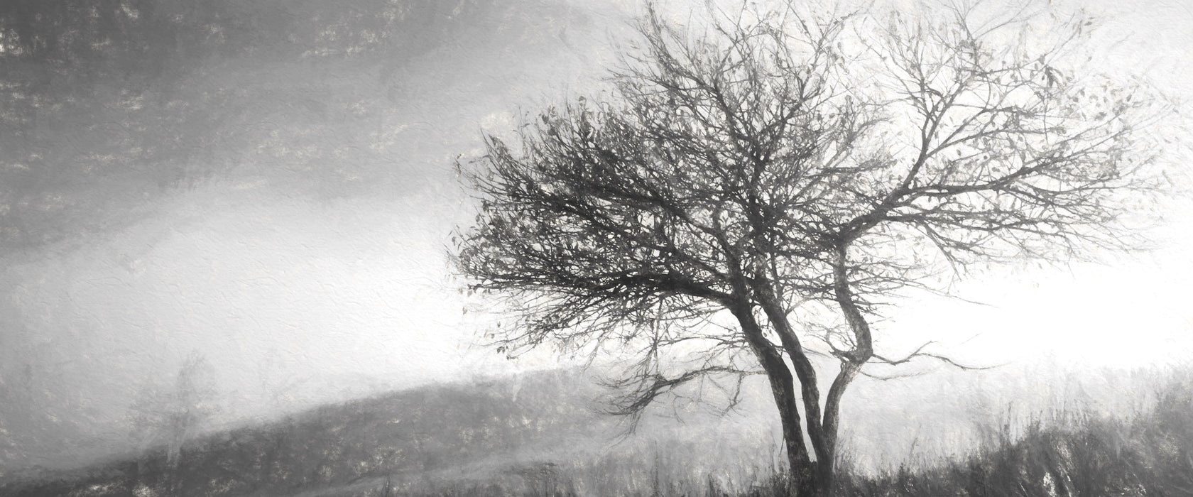 Baum in Landschaft, Glasbild Panorama